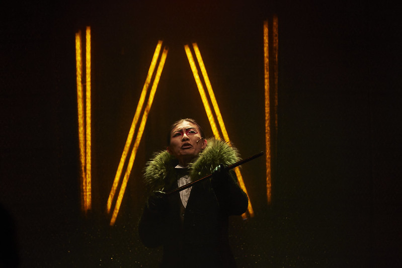 50226621856 2d3af41b76 C